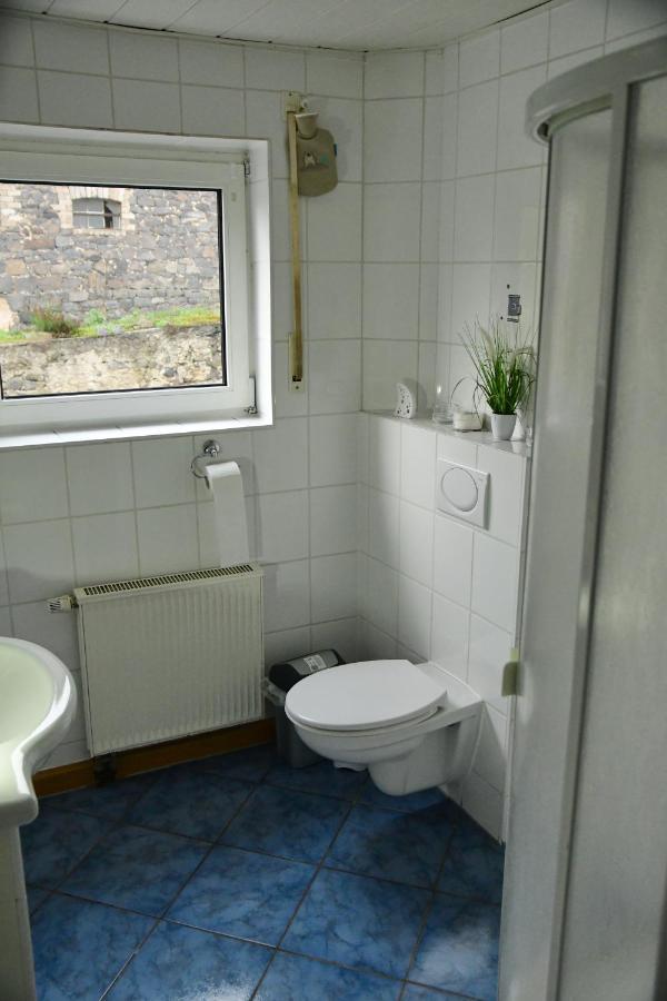 Ferienwohnung Auf Dem Pferdehof ชอทเทน ภายนอก รูปภาพ
