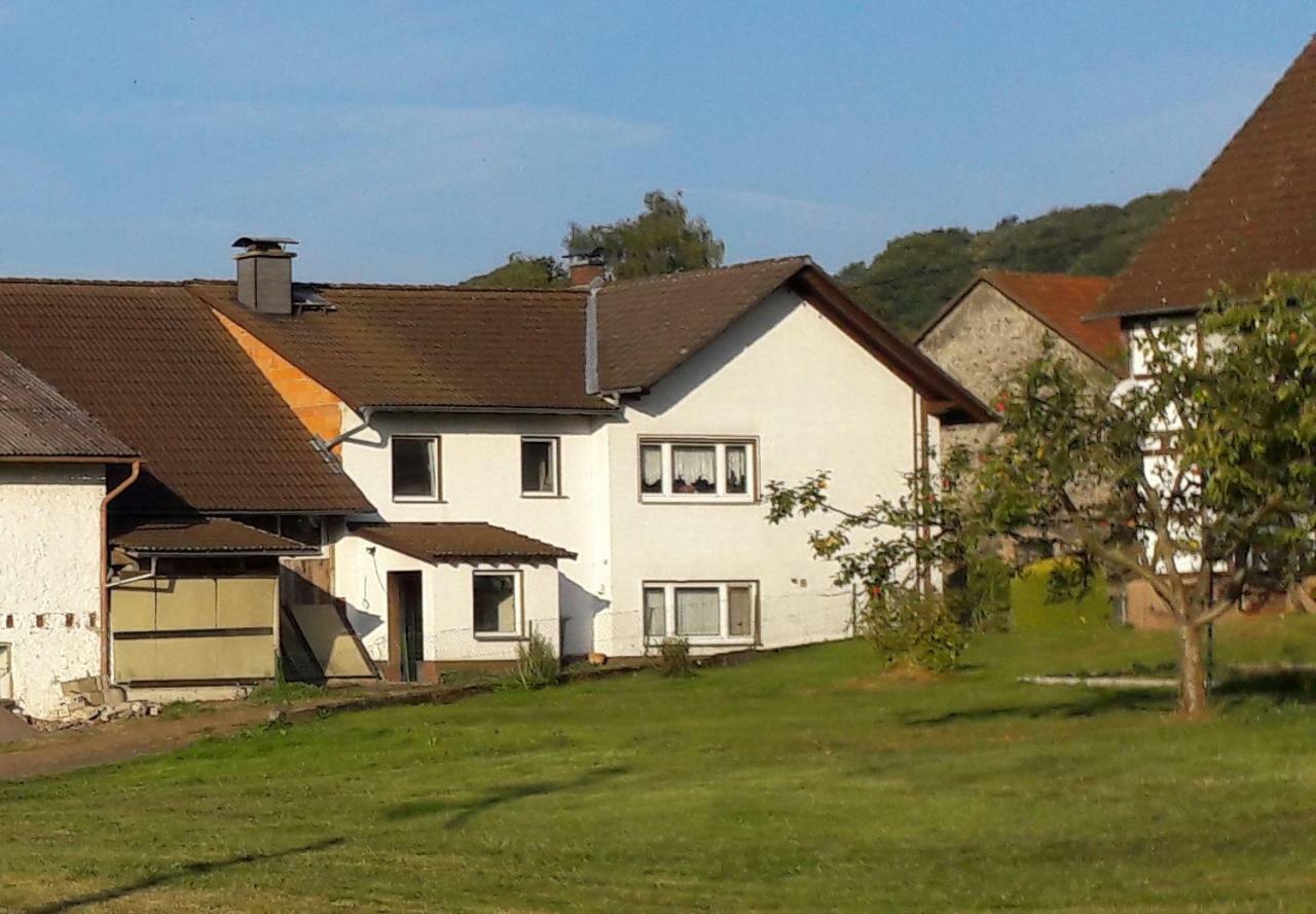 Ferienwohnung Auf Dem Pferdehof ชอทเทน ภายนอก รูปภาพ