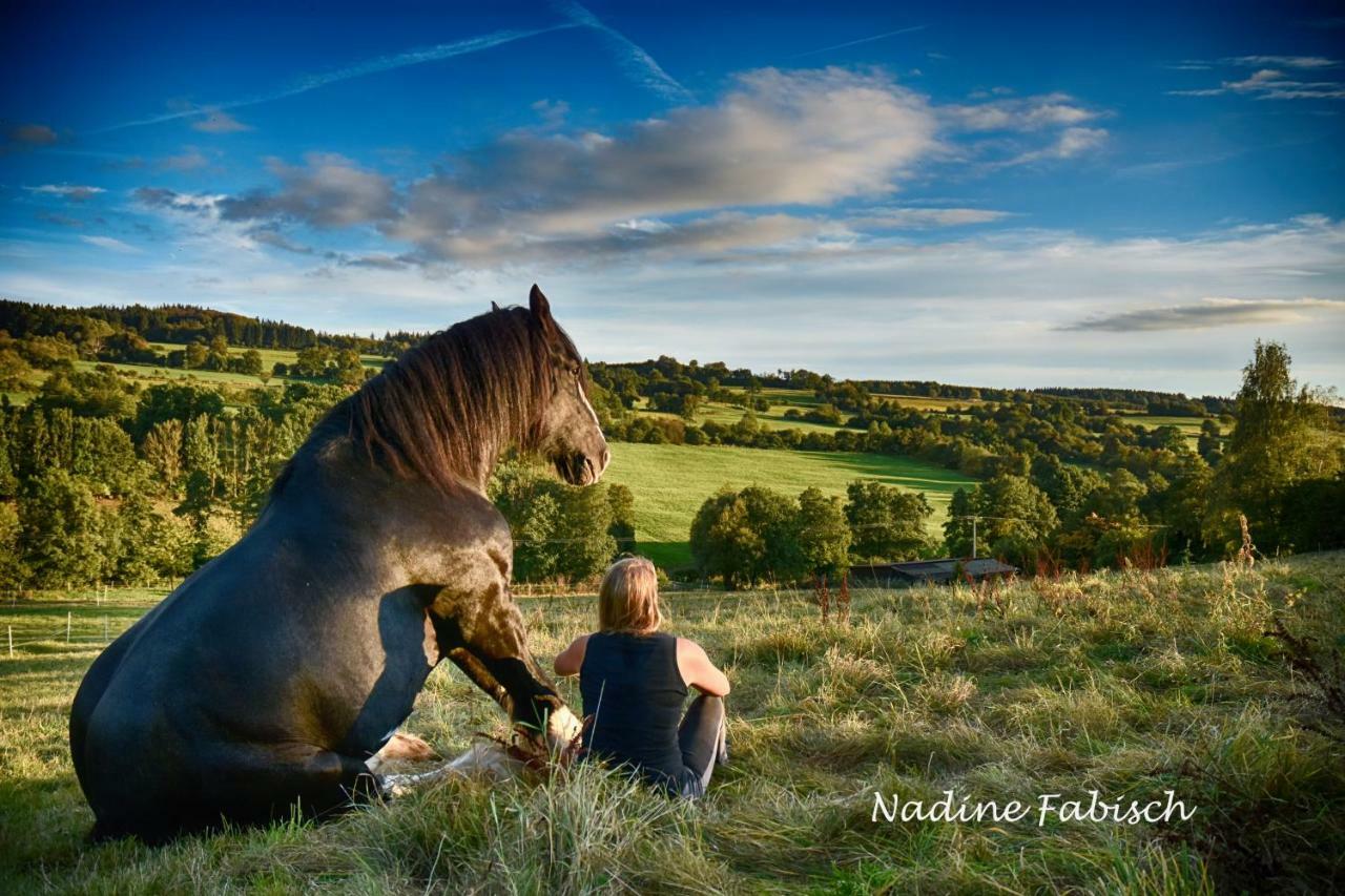 Ferienwohnung Auf Dem Pferdehof ชอทเทน ภายนอก รูปภาพ