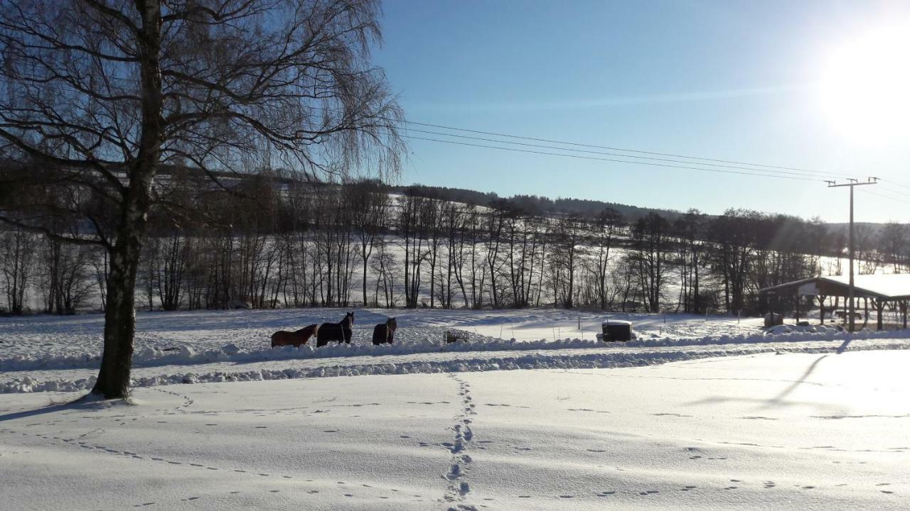 Ferienwohnung Auf Dem Pferdehof ชอทเทน ภายนอก รูปภาพ